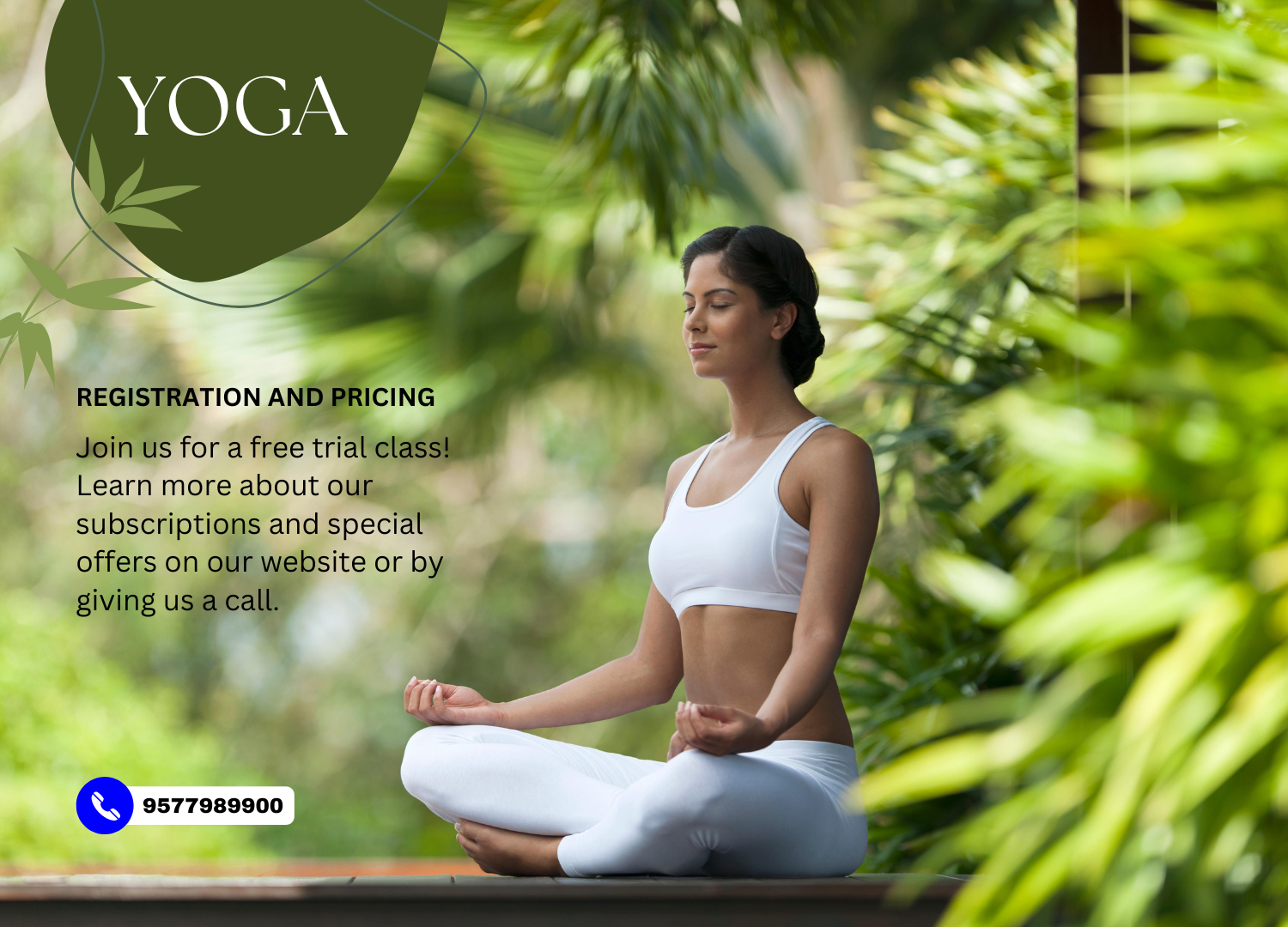 Online Yoga Classes in mumbai